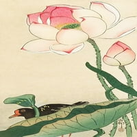 Lotus Flower plakat tisak Ohara Koson 2JP5031