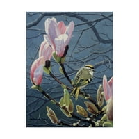 Zaštitni znak likovne umjetnosti 'Kinglet i Magnolia' platno umjetnost Ron Parker