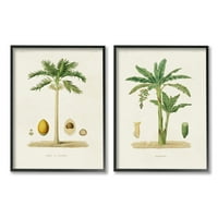 Minimalna zelena Palma kokos dijagram ilustracija crteži umjetnički tisak u crnom okviru zidni set od 2, 24 930