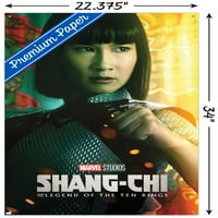 Marvel Shang-Chi i legenda o deset prstenova-Zidni plakat u jednom listu s gumbima, 22.37534