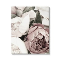 Popunjavanje peciva latica izbliza botanička i cvjetna galerija fotografija zamotana platna za tisak zidne umjetnosti