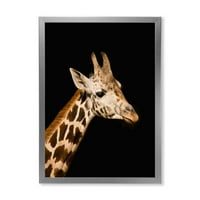DesignArt 'Izbliza portret žirafe na crnoj IV' Farmhouse uokvireni umjetnički tisak