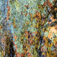 Veliki prirodno uglačani kamen lišajeva, Donja Rijeka Deschutes, središnji Oregon, SAD ispis postera Stuarta Vestmorlanda