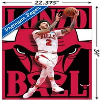 Plakat na zidu Chicago Bullsa-Lonzo Ball, 22.375 34