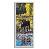 Stupell Industries rano ljeto Moose na jezeru Animals & Insects Slikanje sive uokvirene umjetničke print zidne