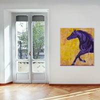 Amoroso Arabian Horse Slikački tisak na zamotanom platnu