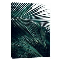Slike, suvremeni lišće palmi 2, 16x20, ukrasna zidna umjetnost platna