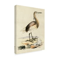 Zaštitni znak likovna umjetnost 'Antique Heron I' Canvas Art by Nepoznati