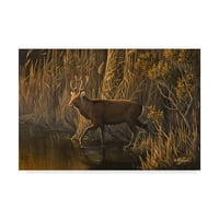 Zaštitni znak likovne umjetnosti 'Večernji krugovi Sika Deer' platno umjetnost Wilhelm Goebel
