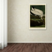 Zaštitni znak likovna umjetnost 'Wood ibissplate 216' platno umjetnost Audubona