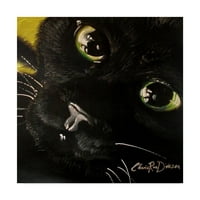 Likovna umjetnost s potpisom mačje oči na platnu Sheri Roe Dirksen