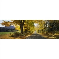 Drveće s obje strane ceste Denbie, Vermont, SAD ot - 12 ispis postera